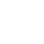 Logo Icon